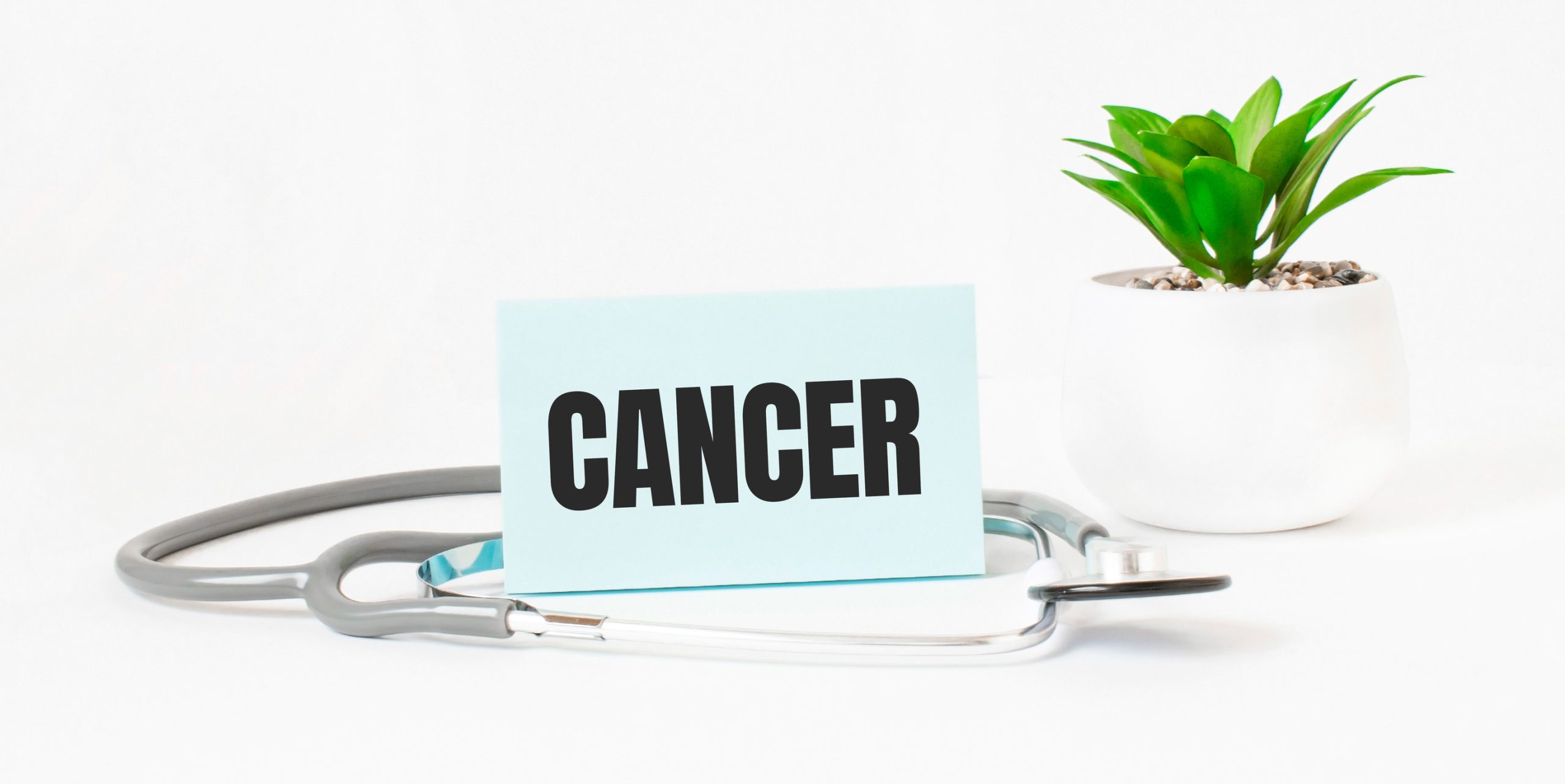 INTERESTING FACTS ABOUT CANCER DISEASE visual data 3